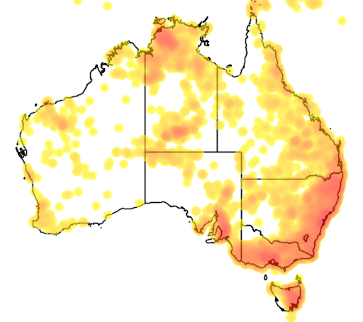 Themeda triandra flora location map