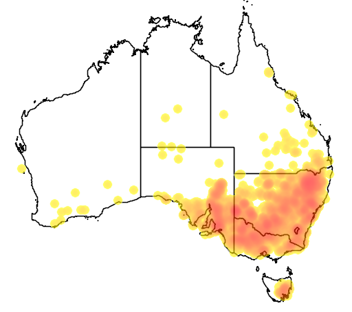 Vittadinia cuneata flora location map
