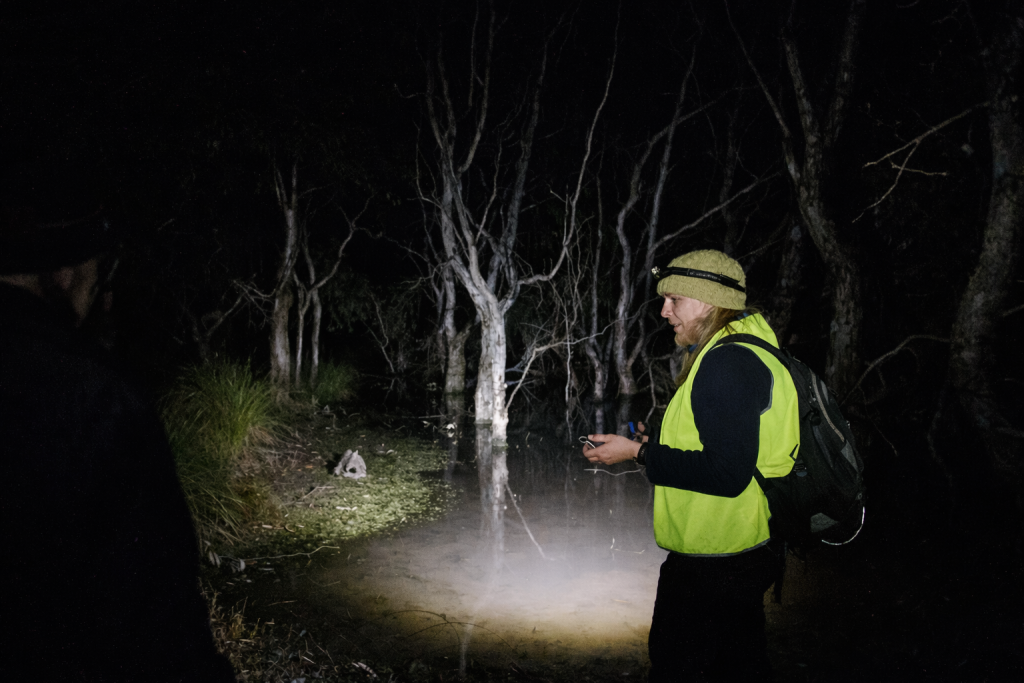 Sloanes Froglet - Woolshed Thurgoona Landcare Group