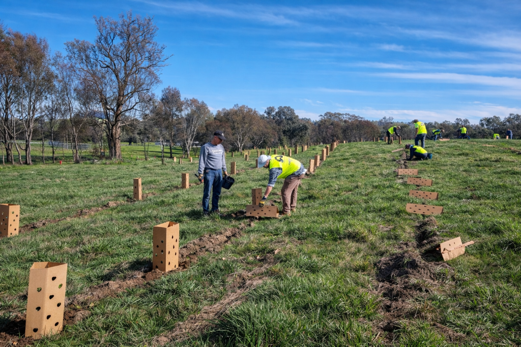 Connecting Landscapes - Woolshed Thurgoona Landcare Group