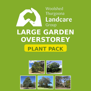 Large Garden Overstorey Pack - Woolshed Thurgoona Landcare Group