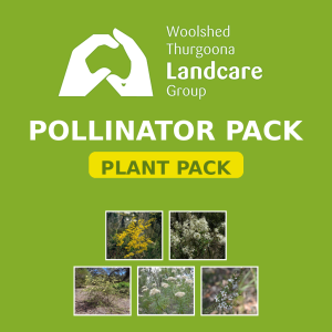Pollinator Pack - Woolshed Thurgoona Landcare Group